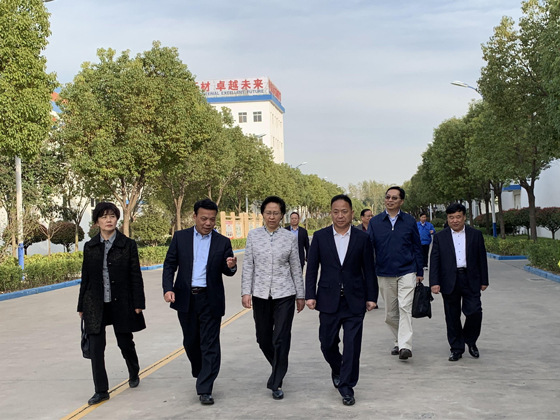 Xing Chunning, deputy director of the Standing Committee of Jiangsu Provincial People's Congress, visited Huaxin